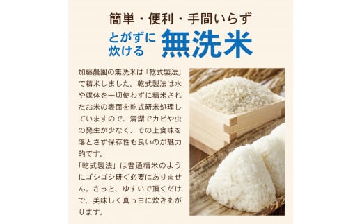 山形県酒田市のふるさと納税 SG0033　10月下旬発送開始／【6回定期便】令和6年産 無洗米 特別栽培米 つや姫　5kg×6回(計30kg)「農家直送」 KA