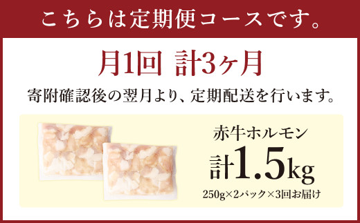 【定期便年3回】赤牛 ホルモン 500g 250g×2パック 計1.5kg シロホルモン もつ鍋 もつ煮込み 牛 もつ