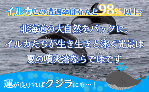 室蘭 イルカウォッチングチケット 大人2名様 【 ふるさと納税 人気 おすすめ ランキング 北海道 室蘭 大人 2名 イルカ ウォッチング クジラ  チケット 観光 プライベート イベント 休日 北海道 室蘭市 送料無料】 MROX004 - 北海道室蘭市｜ふるさとチョイス - ふるさと納税 ...