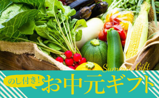 【夏のギフト】高冷地　朝採れ夏野菜～ふるさとセット～ 1326326 - 熊本県阿蘇市