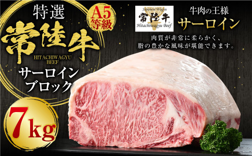 【特選】常陸牛（ひたちぎゅう）A5等級 サーロインブロック 7kg