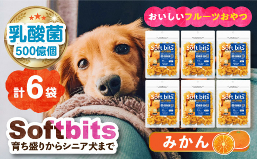 Softbits （果物）みかん（40g×6P）長崎県/株式会社サポート [42AEAE011]