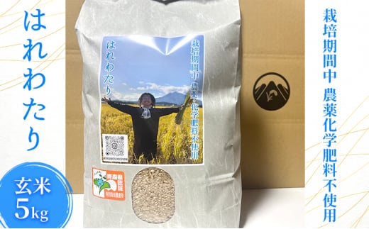 栽培期間中農薬化学肥料不使用 はれわたり 玄米 5kg 1326563 - 青森県弘前市