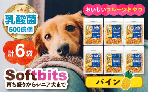 Softbits （果物）パイン（40g×6P）長崎県/株式会社サポート [42AEAE012]