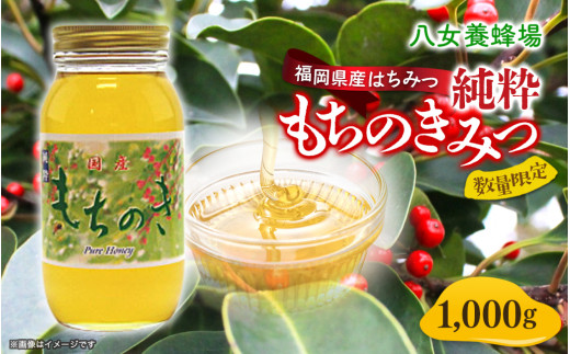 八女養蜂場 福岡県産純粋蜂蜜 もちのきみつ １，０００ｇ 506510 - 福岡県八女市