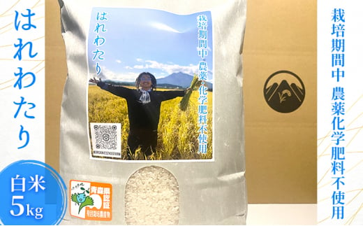 栽培期間中農薬化学肥料不使用 はれわたり 白米 5kg 1326561 - 青森県弘前市