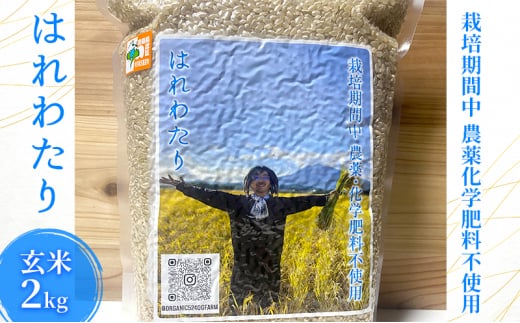 栽培期間中農薬化学肥料不使用 はれわたり 玄米 2kg 1326564 - 青森県弘前市