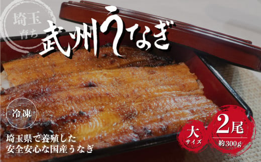 武州うなぎ 国産うなぎ蒲焼  2尾 大サイズ 冷凍真空パック（約300g）【埼玉県 東松山市 母の日 鰻 父の日 ウナギ 誕生日 プレゼント 鰻の蒲焼き 特選品 美味しい お取り寄せ 贈り物 グルメ 旬 おすすめ 国産 大きいサイズ 選べる 家庭用 ギフト 冷凍 真空パック レンジ 御歳暮 お歳暮 贈り物 土用の丑 お祝い 】 1332498 - 埼玉県東松山市