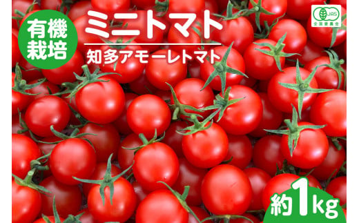 有機栽培ミニトマト　知多アモーレトマト　約1kg ／ とまと 野菜 高糖度 愛知県 特産品 1013500 - 愛知県知多市