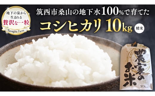 地下水100％で作る美味しい 「 コシヒカリ 」 10kg 令和6年産 米 お米 白米 コメ こしひかり 茨城県 精米 新生活 応援 [DU003ci]