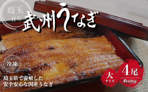 武州うなぎ 国産うなぎ蒲焼  4尾 大サイズ 冷凍真空パック（約600g）【埼玉県 東松山市 母の日 鰻 父の日ウナギ 大容量 誕生日プレゼント 鰻の蒲焼き 特選品 美味しいお取り寄せ 贈り物 グルメ 旬 おすすめ 国産 大きいサイズ 選べる 家庭用 ギフト 冷凍真空パック レンジ 御歳暮 お歳暮 贈り物 土用の丑 お祝い 】