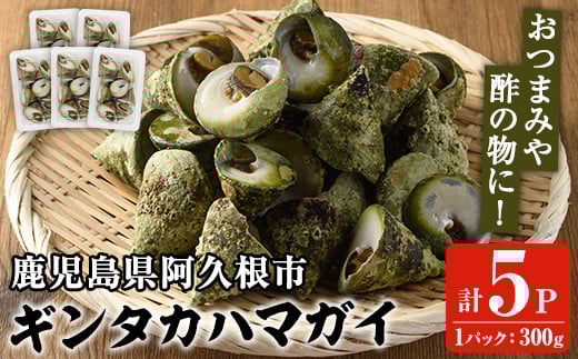 数量限定!ギンタカハマガイ(三角みな)ボイル(300g×5パック)国産 鹿児島県産 貝 魚介類 おかず 料理 おつまみ[福美丸水産]akn033-12