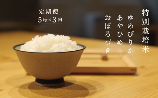 当麻グリーンライフ　特別栽培米　食べ比べ　定期便　ゆめぴりか　あやひめ　おぼろづき 243378 - 北海道当麻町