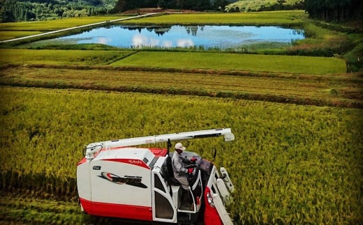 有機栽培米コシヒカリ 白米1.2kg （300g×4袋）＋ 有機栽培米コシヒカリのパックごはん(150g×4個)セット