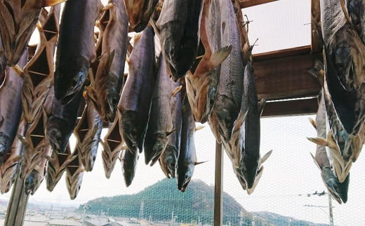 「伝統の鮭料理」 鮭の酒びたし・氷頭せんべい セット