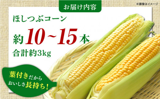 とうもろこし 葉付きスイートコーン 計約3kg 山都町産 とうもろこし 熊本県産 夏野菜