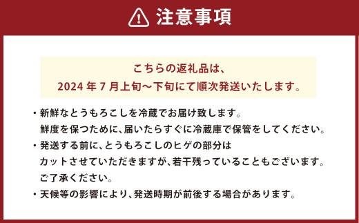 しあわせ コーン 約4kg (14～15本)