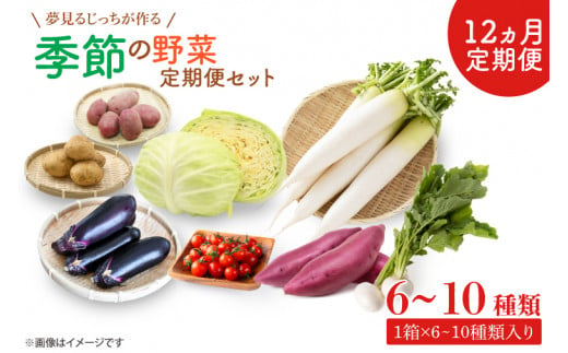 CN-8 【12ヶ月定期便】 夢見るじっちが作る季節の野菜セット 6～10種類入り1箱 252017 - 茨城県行方市