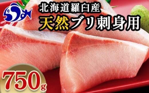 【2024年12月発送】北海道 知床羅臼産 天然ぶり刺身 750g（250g ×3パック） 魚 海産物 魚介 魚介類 ブリ 鰤 刺身 ご飯のお供 冷凍 生産者 支援 応援 1444086 - 北海道羅臼町