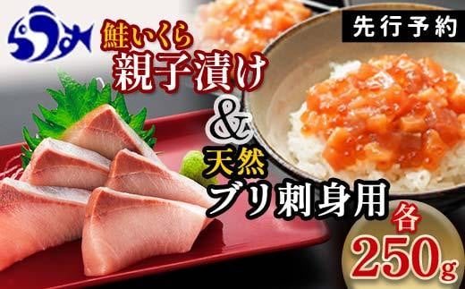 【2025年1月発送】【先行予約】親子漬け・ぶり刺身セット500g（各250g×1）小分け いくら イクラ 秋鮭 さけ サケ 醤油漬け しょうゆ漬け ブリ 鰤 北海道 国産 羅臼 海鮮 魚介 ご飯のお供 生産者 支援 応援 1860196 - 北海道羅臼町