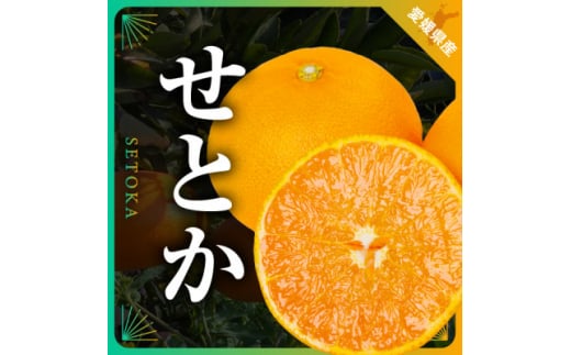 三代目の柑橘の大トロ＜せとか＞3kg＜C31-6＞【1071620】