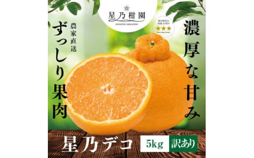 ＜訳あり＞星乃デコ/不知火(5kg)星乃みかん園の自信の果実＜C45-79＞【1378936】 627369 - 愛媛県八幡浜市