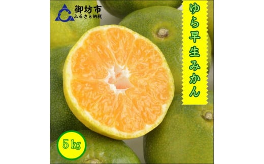 御坊市・日高川町・由良町産　ゆら早生みかん（ゆらっ子）5kg《先行予約》