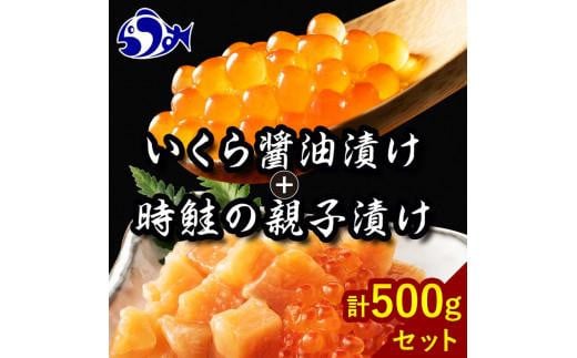 【2025年1月発送】知床羅臼産 時鮭（ときしらず）の親子漬け・醤油いくらセット（計500g）イクラ しょうゆ漬け 秋サケ さけ 海鮮 魚介 北海道 詰め合わせ 生産者 支援 応援 1910546 - 北海道羅臼町