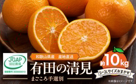 ZE6366n_【2026年先行予約】和歌山県産 有田の 清見 10kg (S～2Lサイズ)【サイズおまかせ】【まごころ手選別】