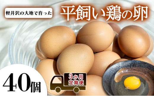 卵40個　3か月定期便[№5328-0334] 1330125 - 長野県軽井沢町