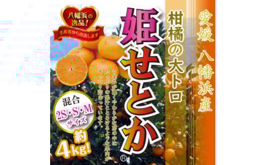 柑橘の大トロ!「姫せとか」約4kg　＜C39-33＞　【1262256】 401322 - 愛媛県八幡浜市