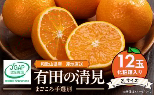 ZE6117n_【2026年先行予約】和歌山県産 有田の 清見 化粧箱入り 2Lサイズ 12個入り（まごころ手選別）