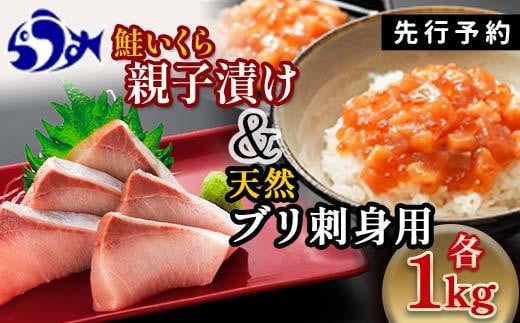 【2024年11月発送】【先行予約】親子漬け・ぶり刺身セット2kg（各250g×4）小分け いくら イクラ 秋鮭 さけ サケ 醤油漬け しょうゆ漬け ブリ 鰤 北海道 国産 羅臼 海鮮 魚介 ご飯のお供 生産者 支援 応援 1444093 - 北海道羅臼町