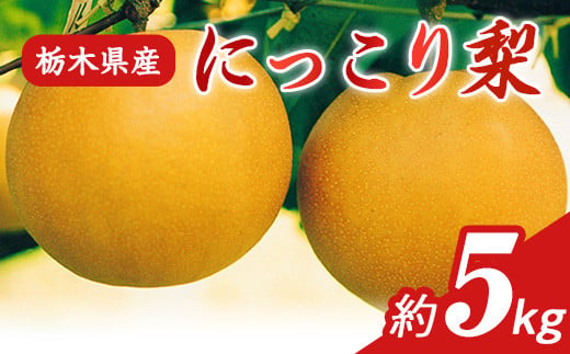 N05 梨 なし にっこり梨 5kg フルーツ 先行予約 2024年 10月 中旬頃 栃木県