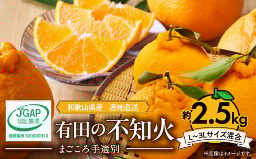 ZE6209n_【2026年先行予約】和歌山県産 有田の 不知火(しらぬひ) 8～11玉【まごころ手選別】【でこぽん デコポン しらぬい 不知火 柑橘】