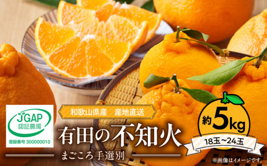 ZE6377n_【2026年先行予約】和歌山県産 有田の 不知火(しらぬひ) 5kg (18玉～24玉) 【まごころ手選別】【でこぽん デコポン しらぬい 不知火 柑橘】