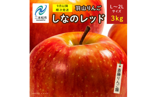 《2024年9月以降順次》羽山りんご　しなのレッドL〜2Lサイズ3kg【斎藤りんご園】