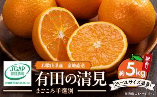 ZE6158n_【2026年先行予約】和歌山県産 有田の 清見（訳あり 家庭用）5kg (2S～2Lサイズ混合)（まごころ手選別）