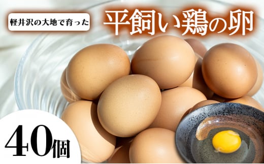 卵　40個[№5328-0331] 1330122 - 長野県軽井沢町