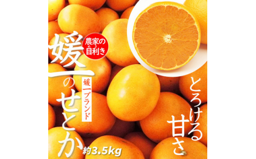 愛媛の高級柑橘の代名詞!「せとか」約3.5kg入＜C28-18＞【1046129】 394057 - 愛媛県八幡浜市