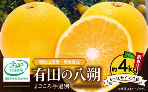 和歌山県産 八朔 秀品 箱込約10kg（約9kg＋保証分500g