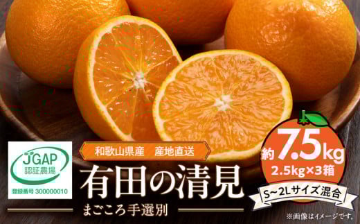 ZE6121n_【2026年先行予約】和歌山県産 有田の 清見 7.5kg (2.5kg×3箱) (S～2Lサイズ混合) 【まごころ手選別】