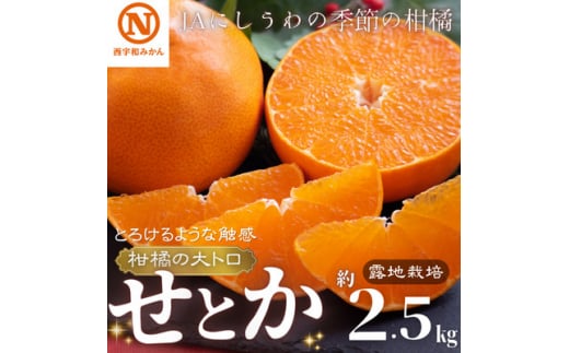 JAにしうわの季節の柑橘(せとか　約2.5kg　化粧箱　露地栽培)＜E08-64＞【1474321】 673308 - 愛媛県八幡浜市