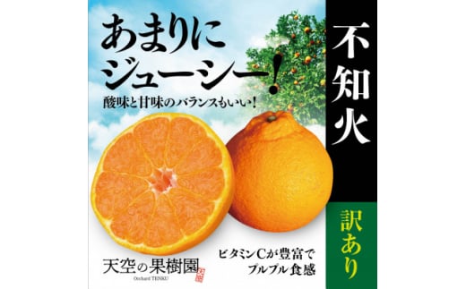 ＜訳あり＞そらデコ/不知火(5kg) 天空の果樹園から届く自慢の柑橘＜C45-78＞【1378937】