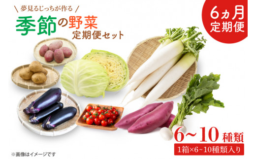 CN-7 【6ヶ月定期便】 夢見るじっちが作る季節の野菜セット 6～10種類入り1箱 252016 - 茨城県行方市