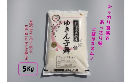 ゆきん子舞 白米 5kg 新潟県岩船産 食味鑑定士謹製 一等米