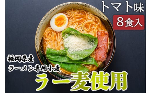 ラーメン 福岡県産 ラー麦使用 トマトラーメン 8食入 たなばたの里