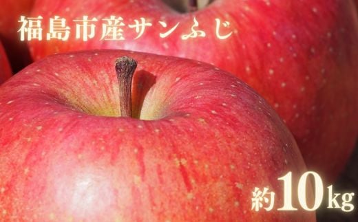 No.0147あづま果樹園 りんご　約10kg【2024年度発送】