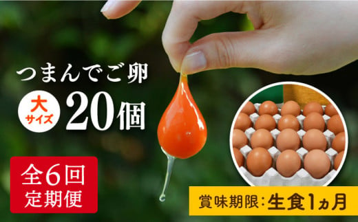 【全6回定期便】つまんでご卵 20個箱 卵 定期便（月1回） 糸島 / 緑の農園 [AGA009] ランキング 上位 人気 おすすめ
