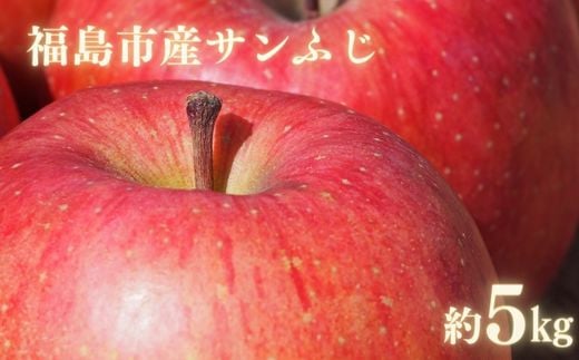 No.0146あづま果樹園  りんご　約5kg【2024年度発送】